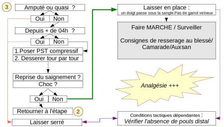Phase 3