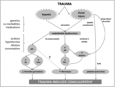 TraumaCoag.jpg