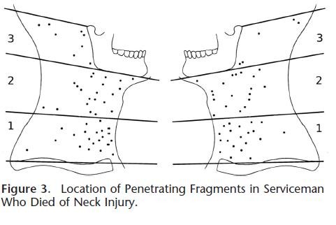 CervicalWounds.JPG